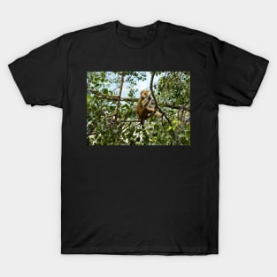 Planet Monkey Jungle Wildlife T-Shirt